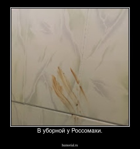 В уборной у Россомахи.