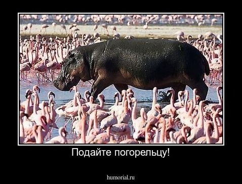 Подайте погорельцу!