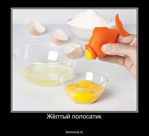 Жёлтый полосатик