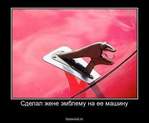 Сделал жене эмблему на ее машину