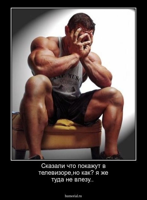Сказали что покажут в телевизоре,но как? я же туда не влезу..