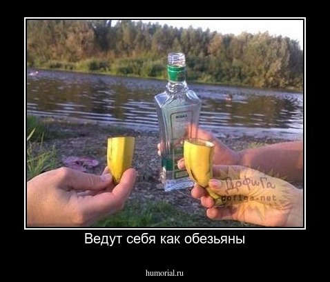 Ведут себя как обезьяны