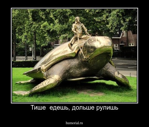 Тише  едешь, дольше рулишь