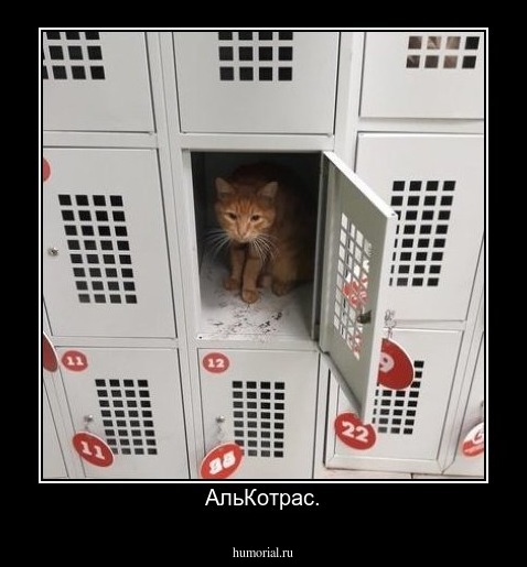 АльКотрас.