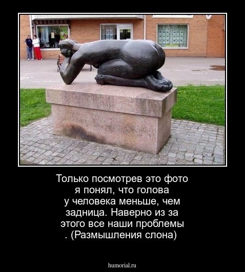 Только посмотрев  это  фото  я понял,  что голова у человека меньше, чем  задница. Наверно из за этого  все наши  проблемы . (Размышления  слона)
