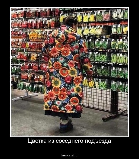 Цветка из соседнего подъезда