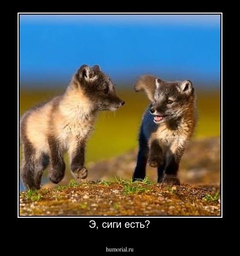 Э, сиги есть?