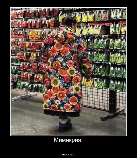 Мимикрия.