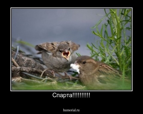 Спарта!!!!!!!!!!