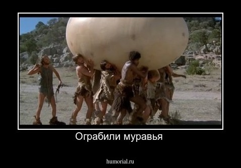 Ограбили муравья 
