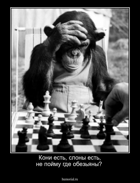 Кони  есть,  слоны  есть,  не пойму где обезьяны?