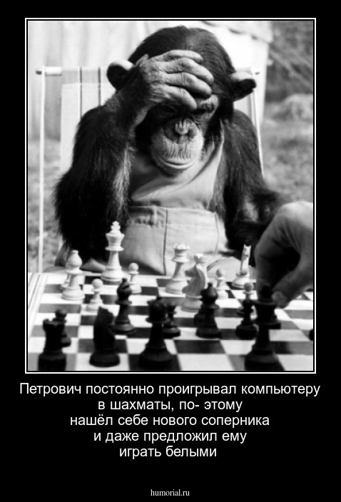 Петрович постоянно проигрывал компьютеру в шахматы,  по- этому нашёл себе нового  соперника и даже предложил ему  играть  белыми