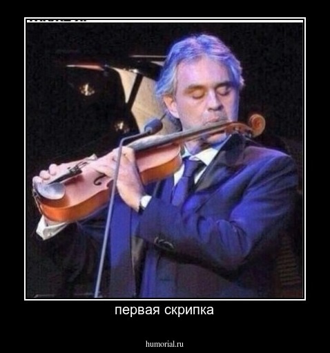 первая скрипка