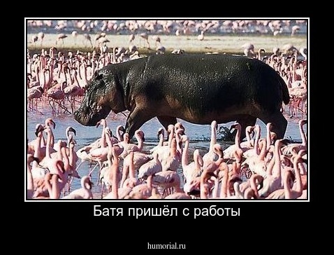 Батя пришёл с работы