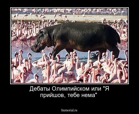 Дебаты Олимпийском или "Я прийшов, тебе нема" 