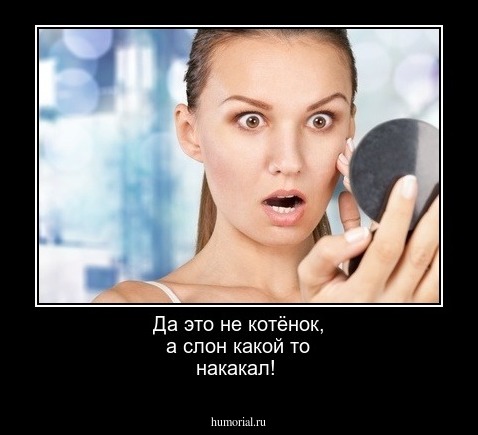 Да это  не  котёнок,  а  слон  какой то накакал!
