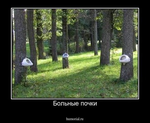Больные почки