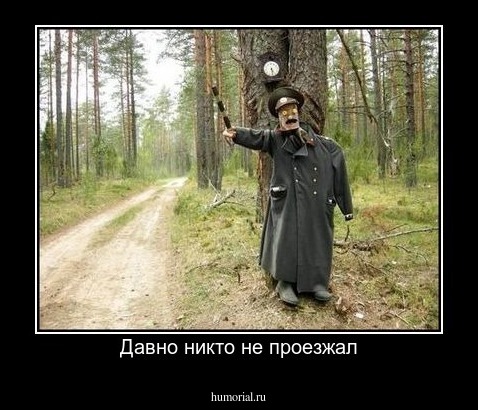 Давно никто не проезжал