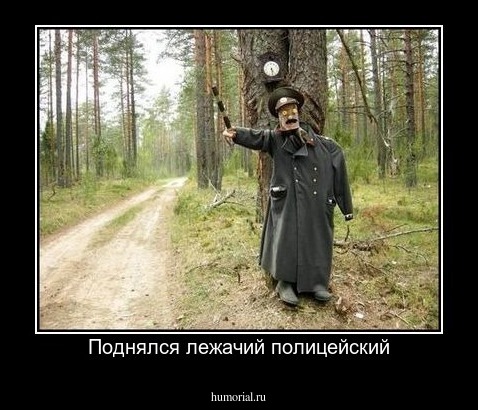 Поднялся лежачий полицейский