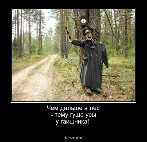 Чем дальше в лес - тему гуще усы у гаишника!