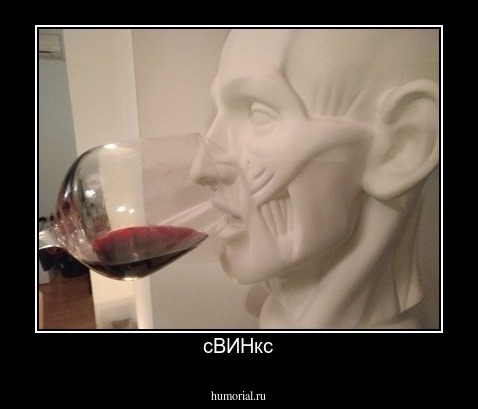 сВИНкс