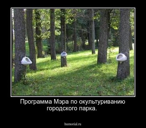 Программа Мэра по окультуриванию городского парка.