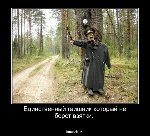 Единственный гаишник который не берет взятки.