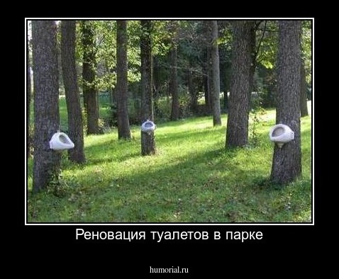 Реновация туалетов в парке
