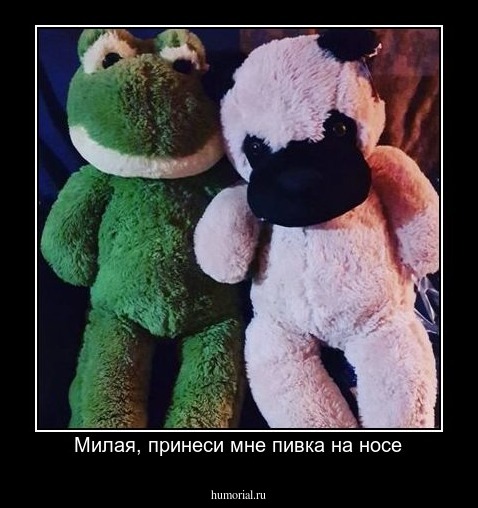 Милая, принеси мне пивка на носе