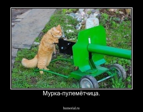 Мурка-пулемётчица.