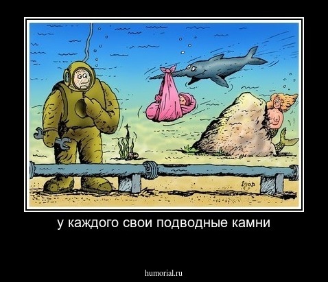 у каждого свои подводные камни
