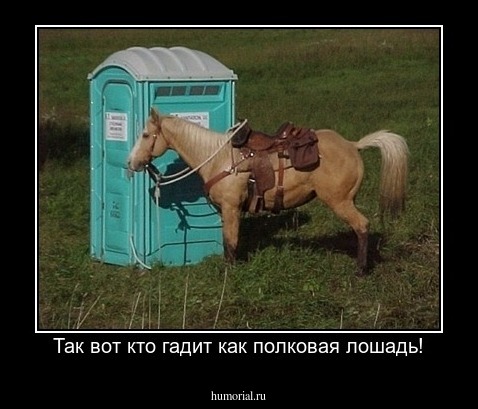 Так вот кто гадит как полковая лошадь!