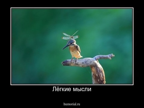 Лёгкие мысли