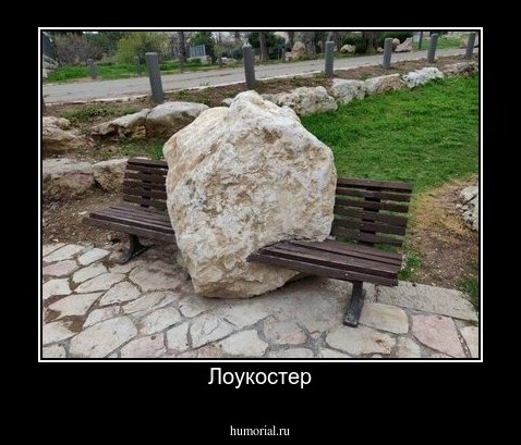Лоукостер