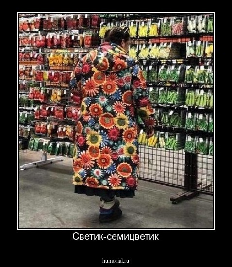 Светик-семицветик
