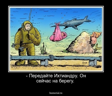 - Передайте Ихтиандру. Он сейчас на берегу.