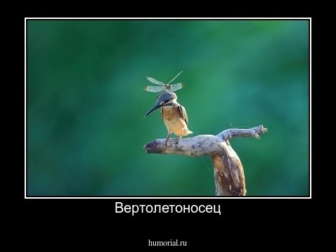 Вертолетоносец