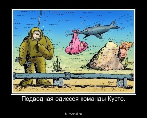 Подводная одиссея команды Кусто.