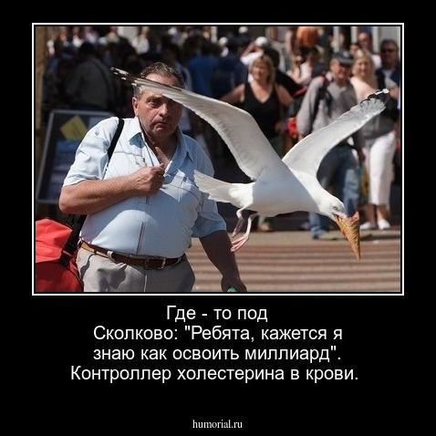 Где - то под Сколково: "Ребята, кажется я знаю как освоить миллиард". Контроллер холестерина в крови.