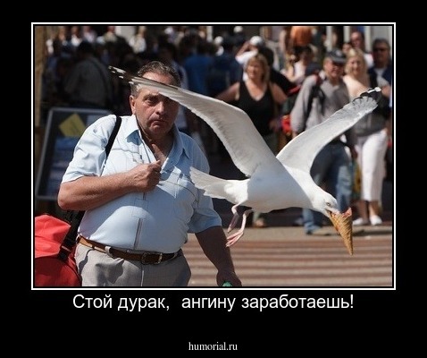Стой дурак,  ангину заработаешь!