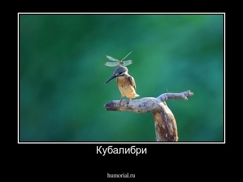 Кубалибри