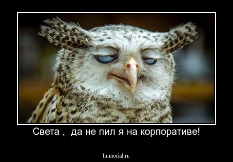 Света ,  да не пил я на корпоративе!