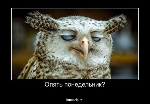 Опять понедельник?