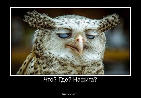 Что? Где? Нафига?