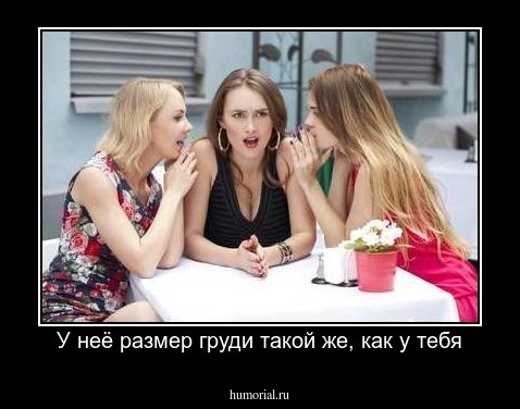 У неё размер груди такой же, как у тебя