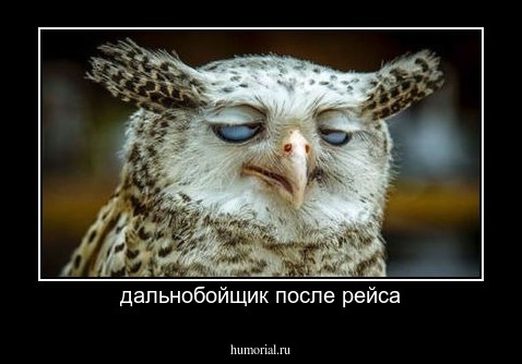 дальнобойщик после рейса