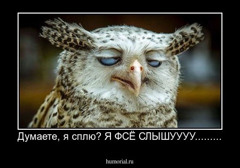 Думаете, я сплю? Я ФСЁ СЛЫШУУУУ.........