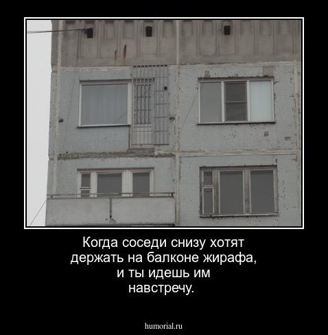 Когда соседи снизу хотят держать на балконе жирафа, и ты идешь им навстречу.