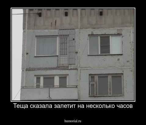 Теща сказала залетит на несколько часов