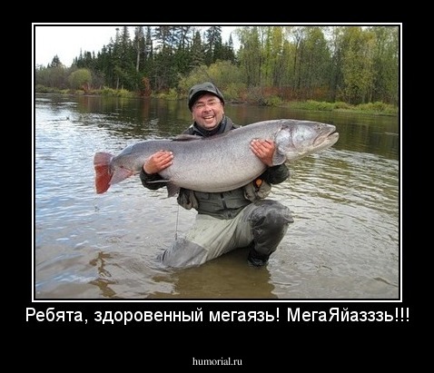 Ребята, здоровенный мегаязь! МегаЯйазззь!!!